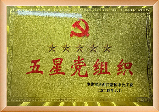 五星党组织